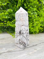 Witte Pluim Agaat toren