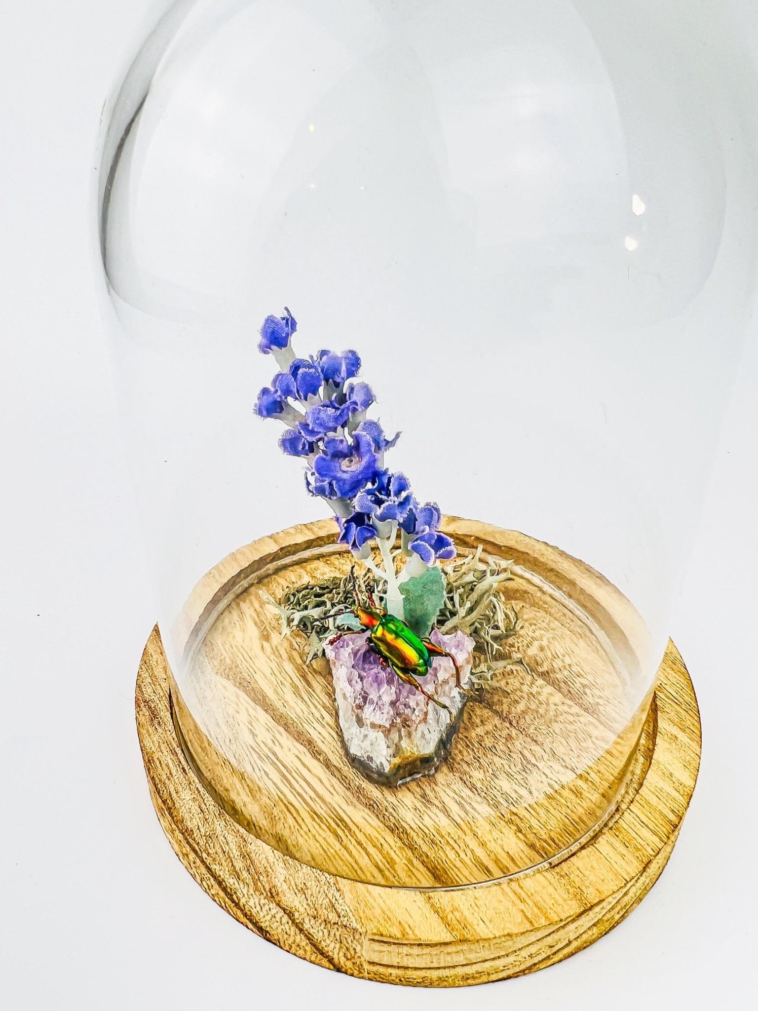 Schillernder Käfer auf Amethyst mit Lavendel und echtem Moos in einer Glasglocke von KEY LIME STORE