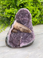 Amethist met Kwartskristal cut base - zeldzaam by KEY LIME STORE