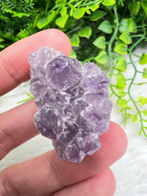 Amethyst-Cluster (3 cm) von KEY LIME STORE