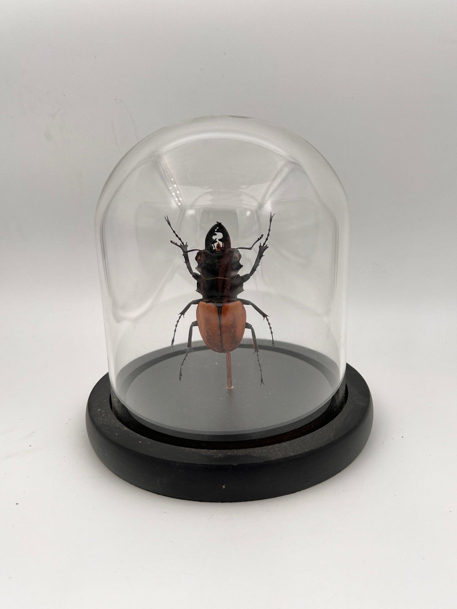 Kever in stolp by KEY LIME STORE