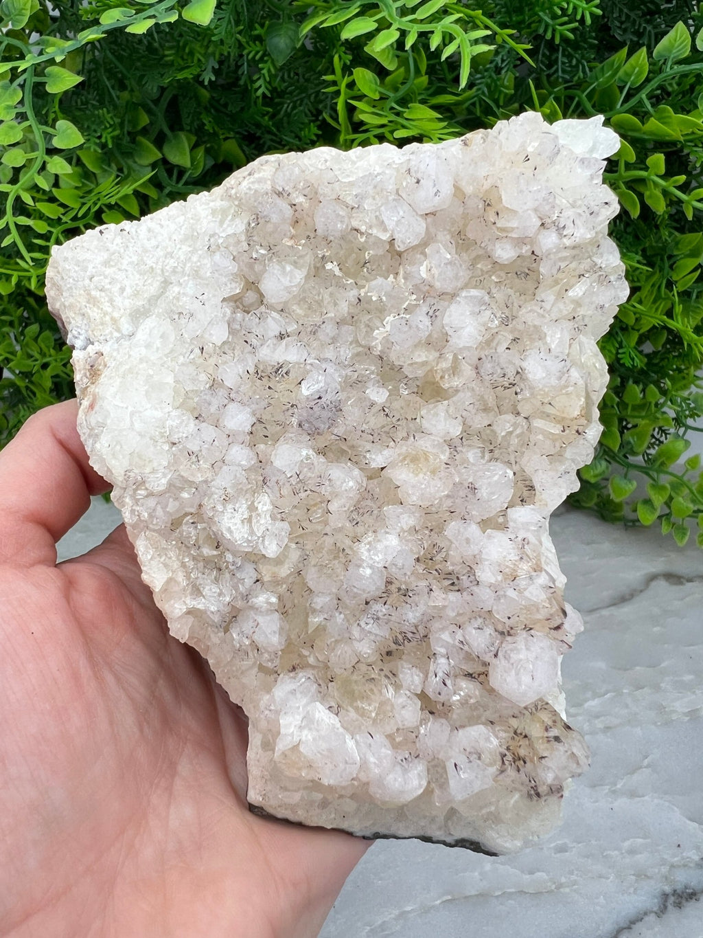 Apophyllit mit schwarzen Turmalin-Einschlüssen (12 cm) von KEY LIME STORE