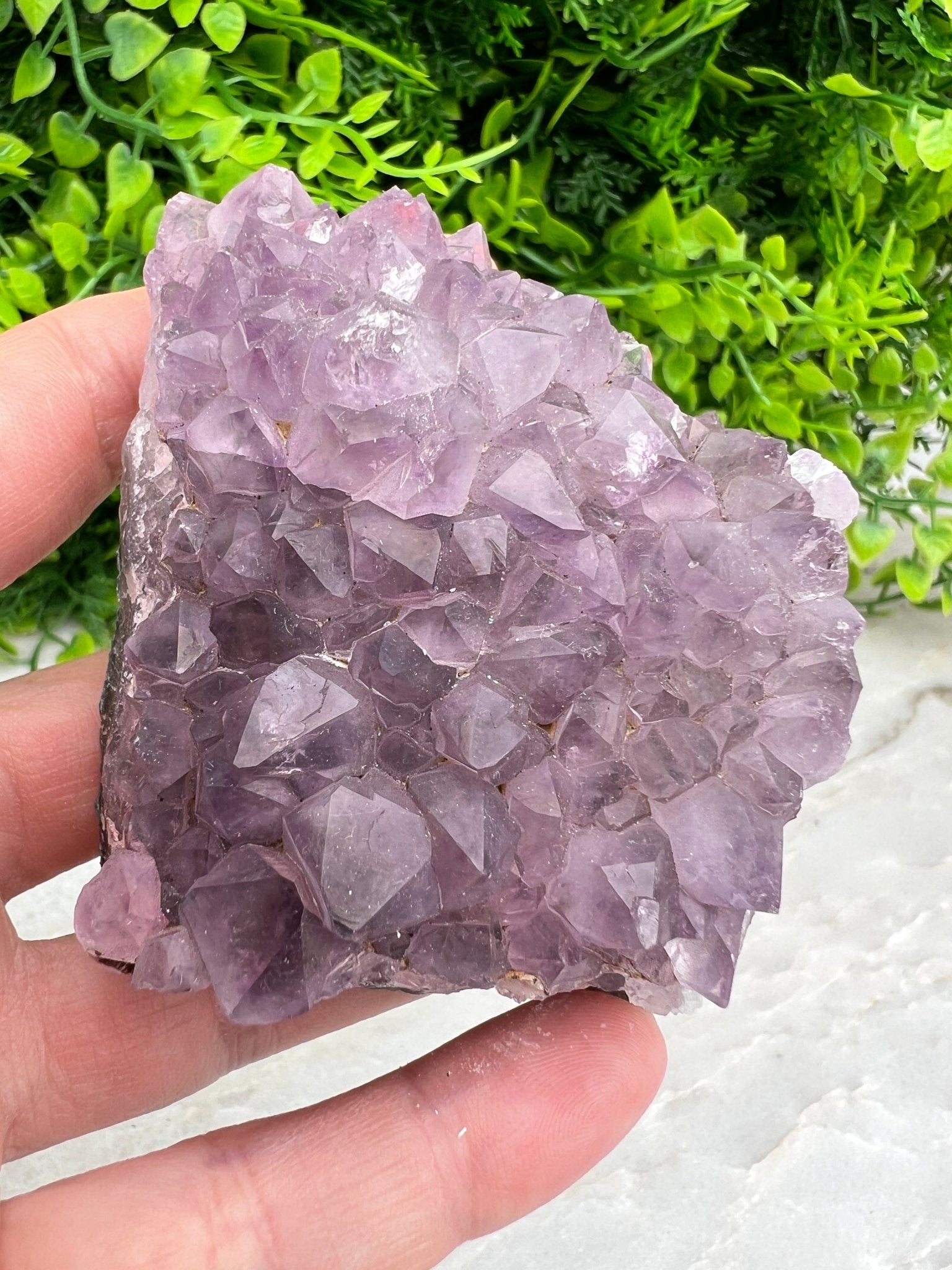 Amethyst-Cluster (8 cm) von KEY LIME STORE