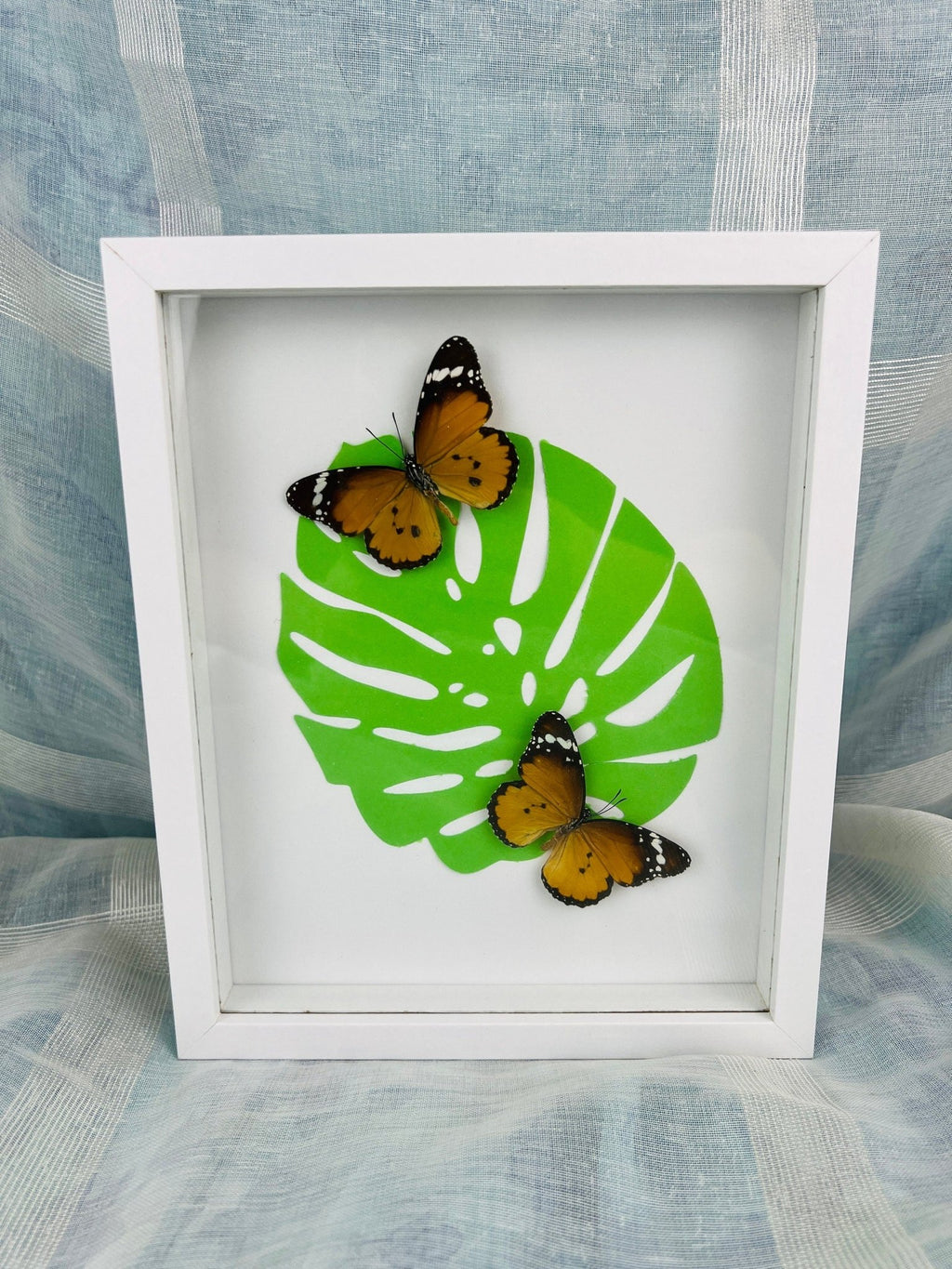 „Danaus Chrysippus“ auf Monstera-Druck, gerahmt von KEY LIME STORE