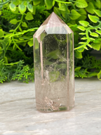 A clear quartz crystal sits on a white surface, surrounded by lush green foliage.