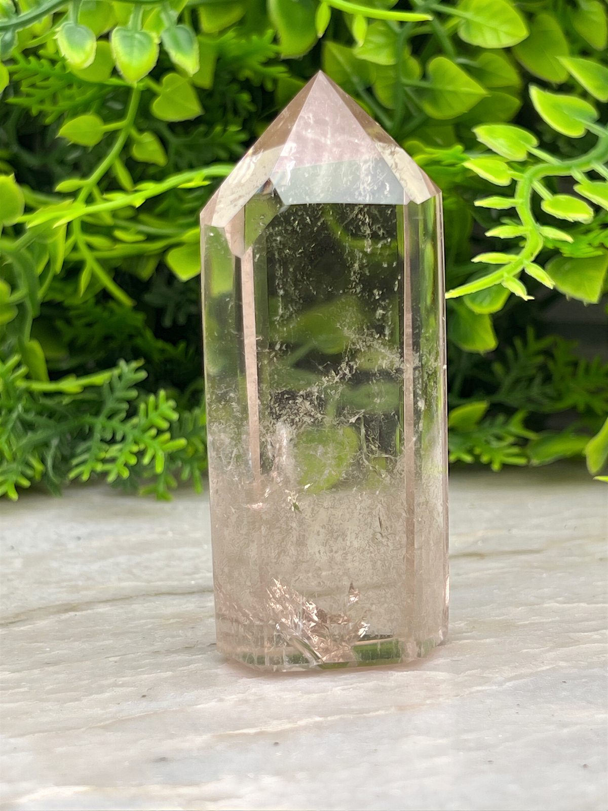 A clear quartz crystal sits on a white surface, surrounded by lush green foliage.