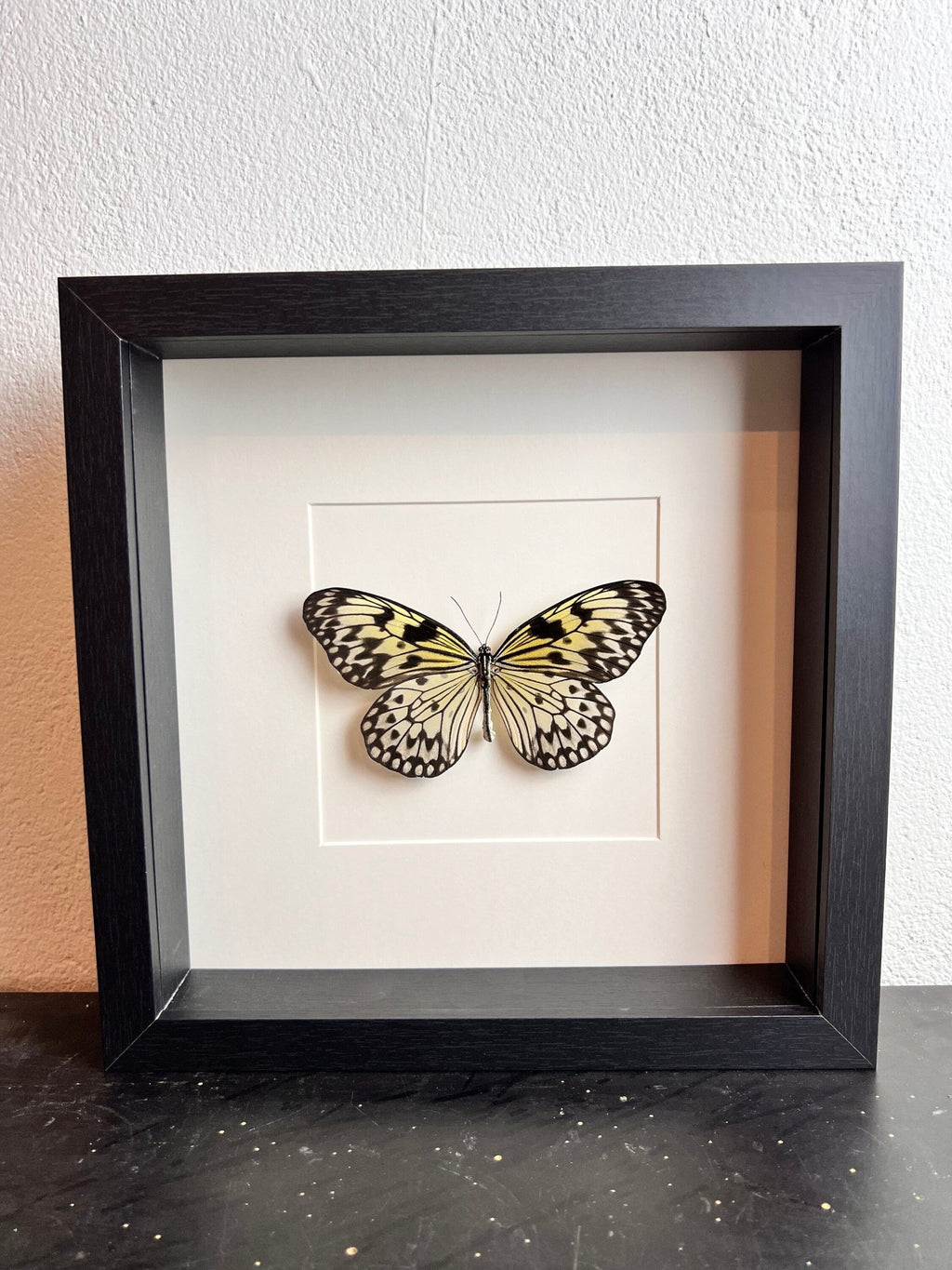 Idea Leuconoe in einem Rahmen von KEY LIME STORE