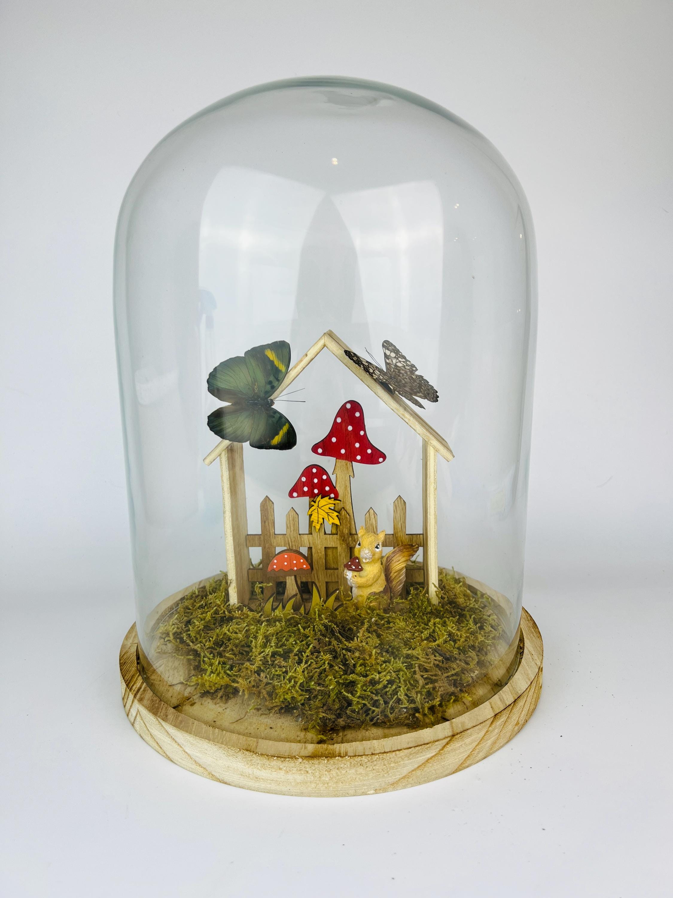 Twee vlinders op een tafereeltje in stolp