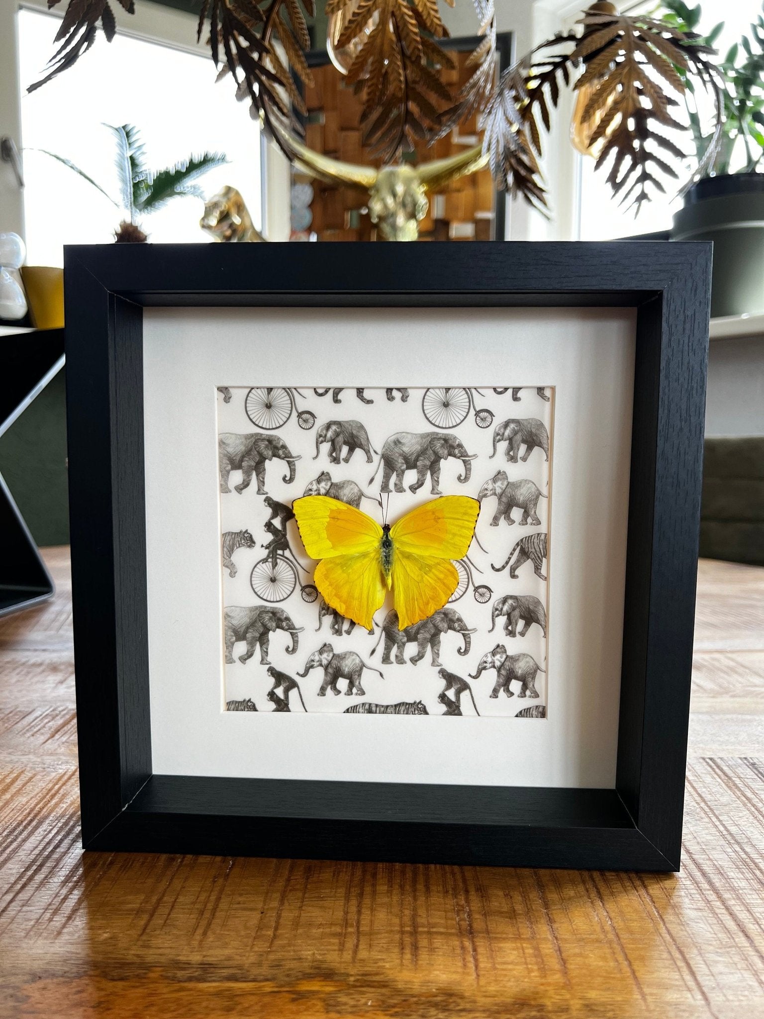 „Phoebis Philea“ als Druck in einem Rahmen von KEY LIME STORE