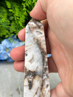 A close-up image of a hand holding a piece of rock with a unique, textured surface.