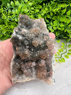A hand is holding a piece of rock with a cluster of crystals on it, set against a backdrop of green foliage.