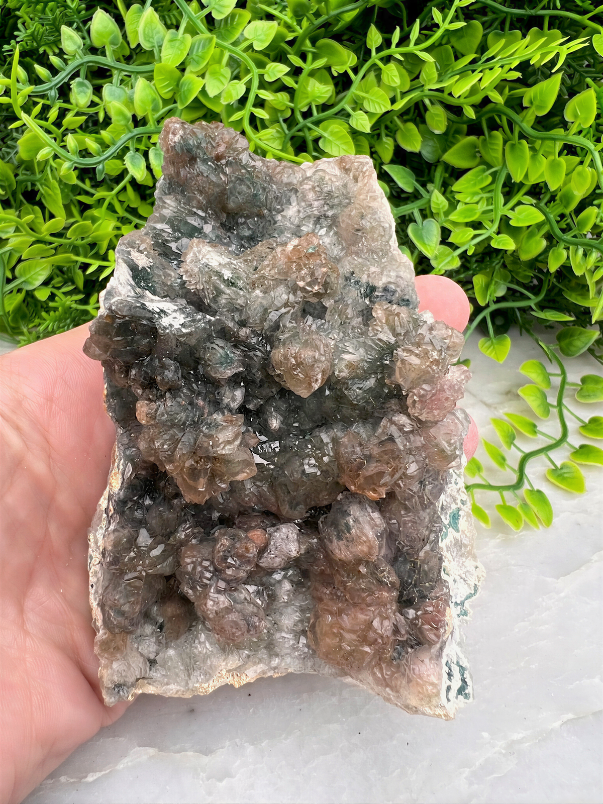 A hand is holding a piece of rock with a cluster of crystals on it, set against a backdrop of green foliage.