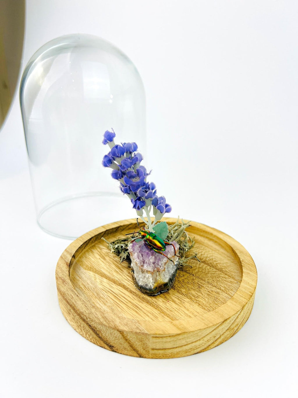 Schillernder Käfer auf Amethyst mit Lavendel und echtem Moos in einer Glasglocke von KEY LIME STORE