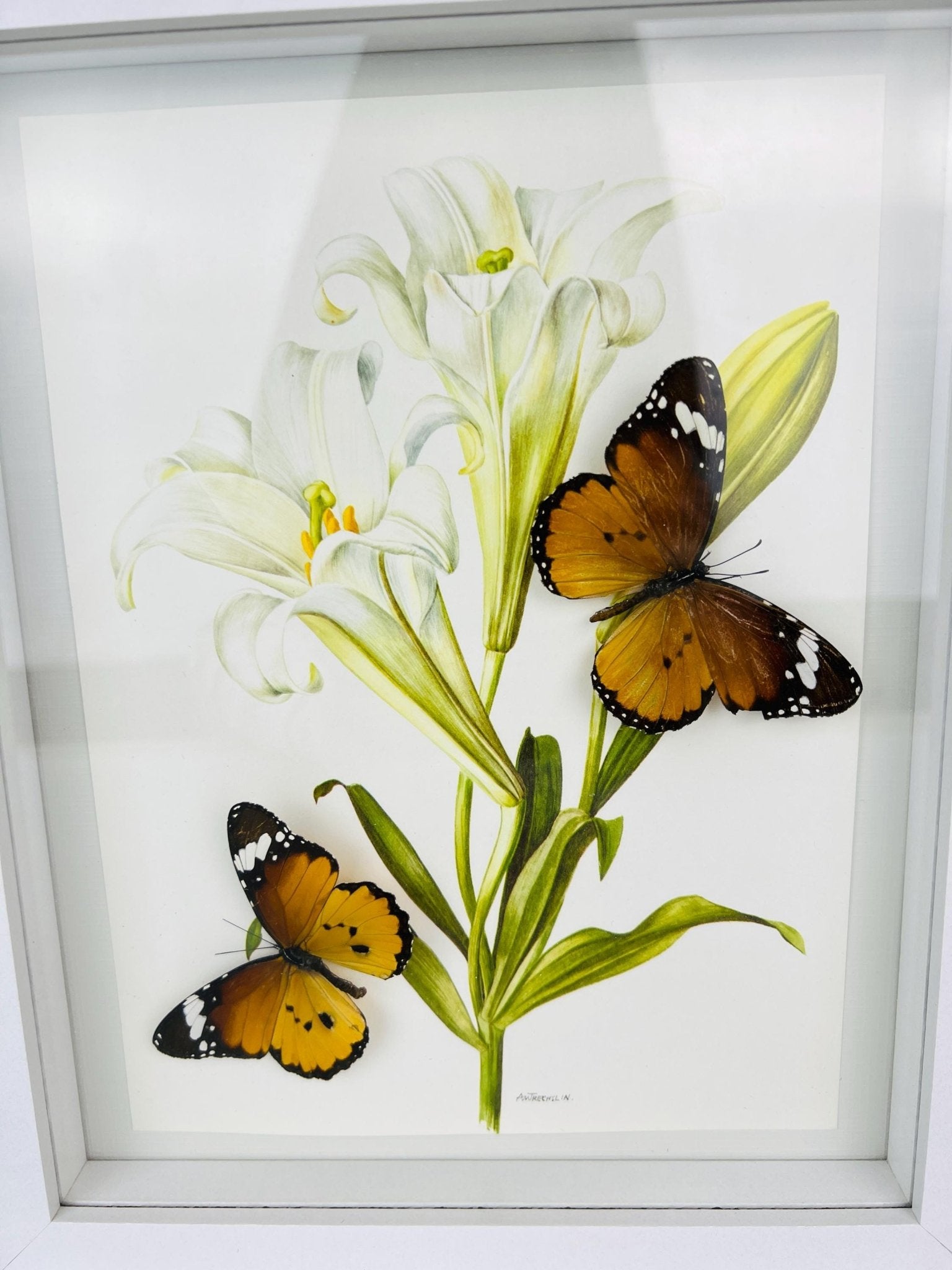 Danaus Chrysippus op vintage bloemenprint in lijst by KEY LIME STORE