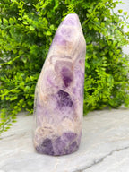 Dog Teeth Amethist sculptuur by KEY LIME STORE
