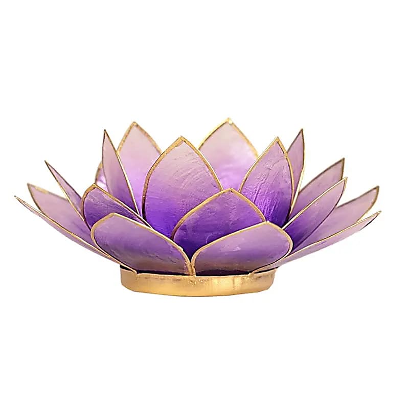 Lotus sfeerlicht violet goudrand (13.5 cm)