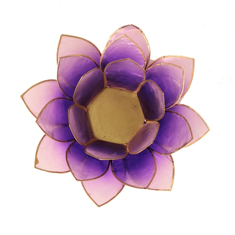 Lotus sfeerlicht violet goudrand (13.5 cm)