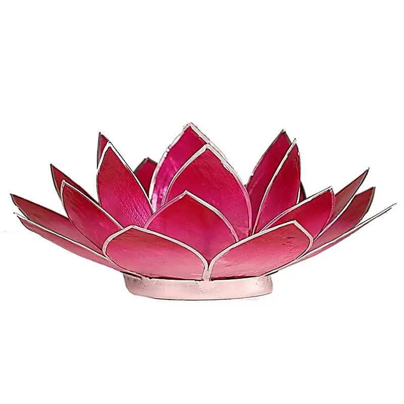 Lotus sfeerlicht roze zilverrand (13.5 cm)