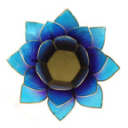 Lotus sfeerlicht 2-kleurig violet-blauw (13,5 cm)