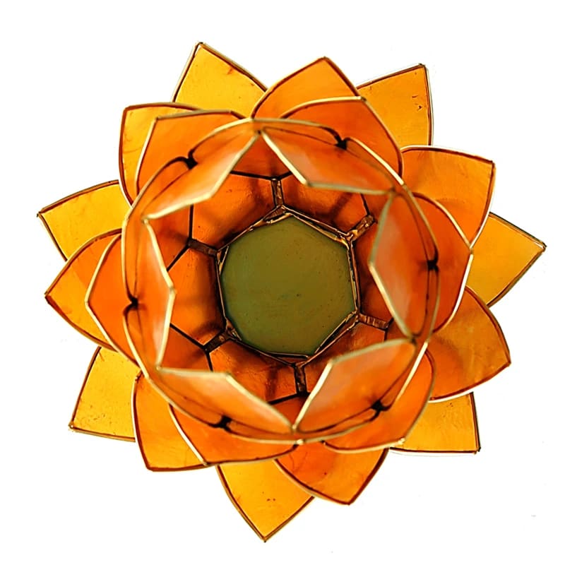 Lotus sfeerlicht oranje goudrand groot (15x15 cm)