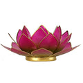 Lotus sfeerlicht groen/roze 2-kleurig (13.5 cm)