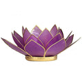 lotus sfeerlicht lila goudrand (13.5 cm)