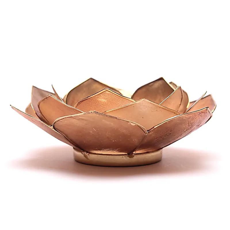 Lotus sfeerlicht bladvorm smoked/beige goudrand (13.5 cm)