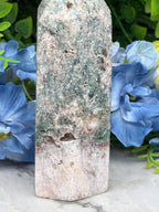 A close-up view of a moss-covered stone or rock, with a background of blue flowers.