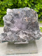 a large, irregularly shaped piece of gray rock with a purple hue, placed on a glass stand.