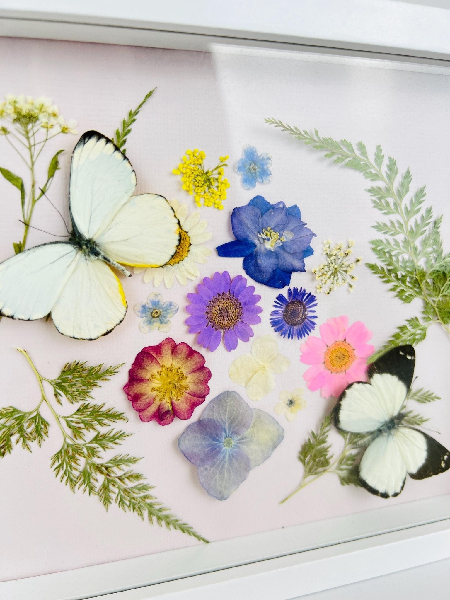 Weiße Schmetterlinge mit Trockenblumen in einem Rahmen von KEY LIME STORE