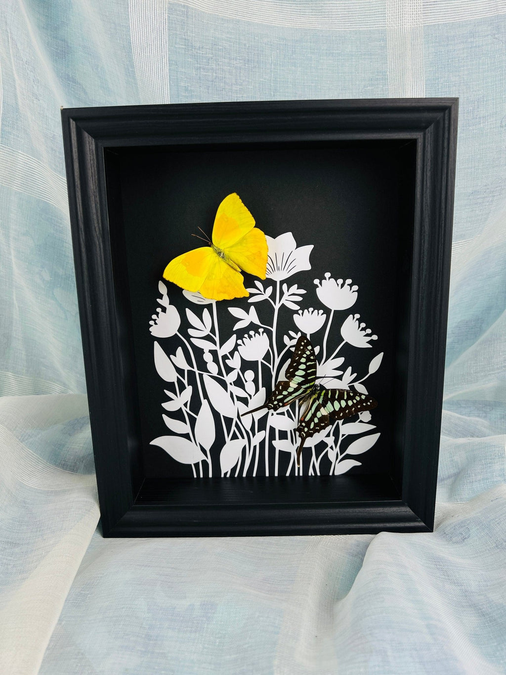 Phoebis Rurina und Graphium Antheus als Druck in einem Rahmen von KEY LIME STORE