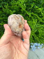 A hand holding a rock in a garden setting with green foliage in the background.
