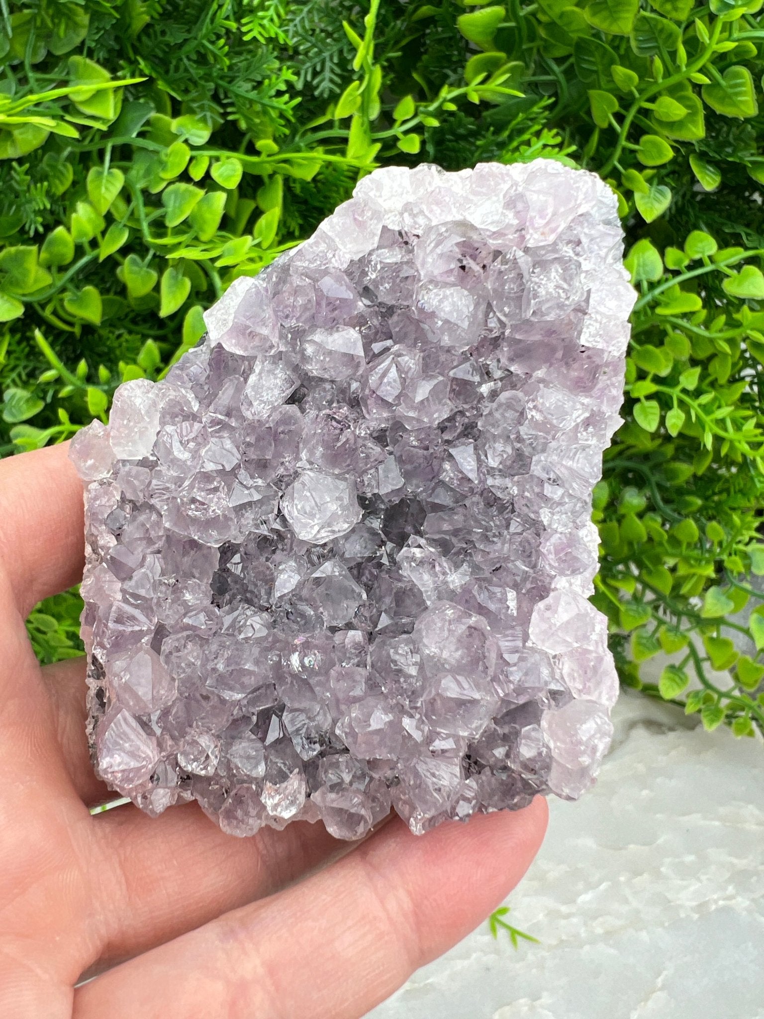 Amethyst-Cluster (6 cm) von KEY LIME STORE