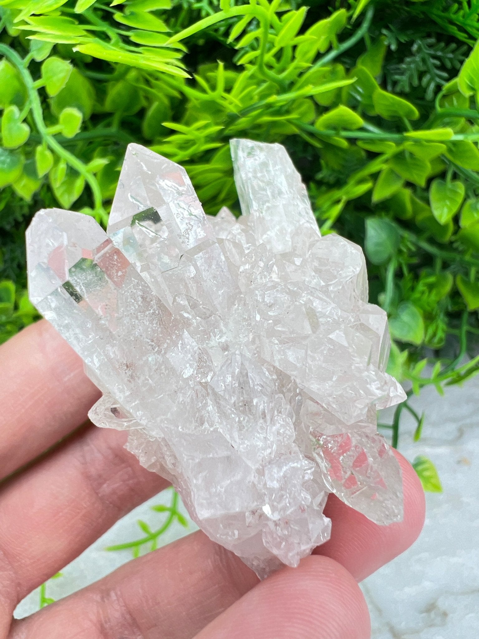 Bergkristall-Cluster (6 cm) von KEY LIME STORE