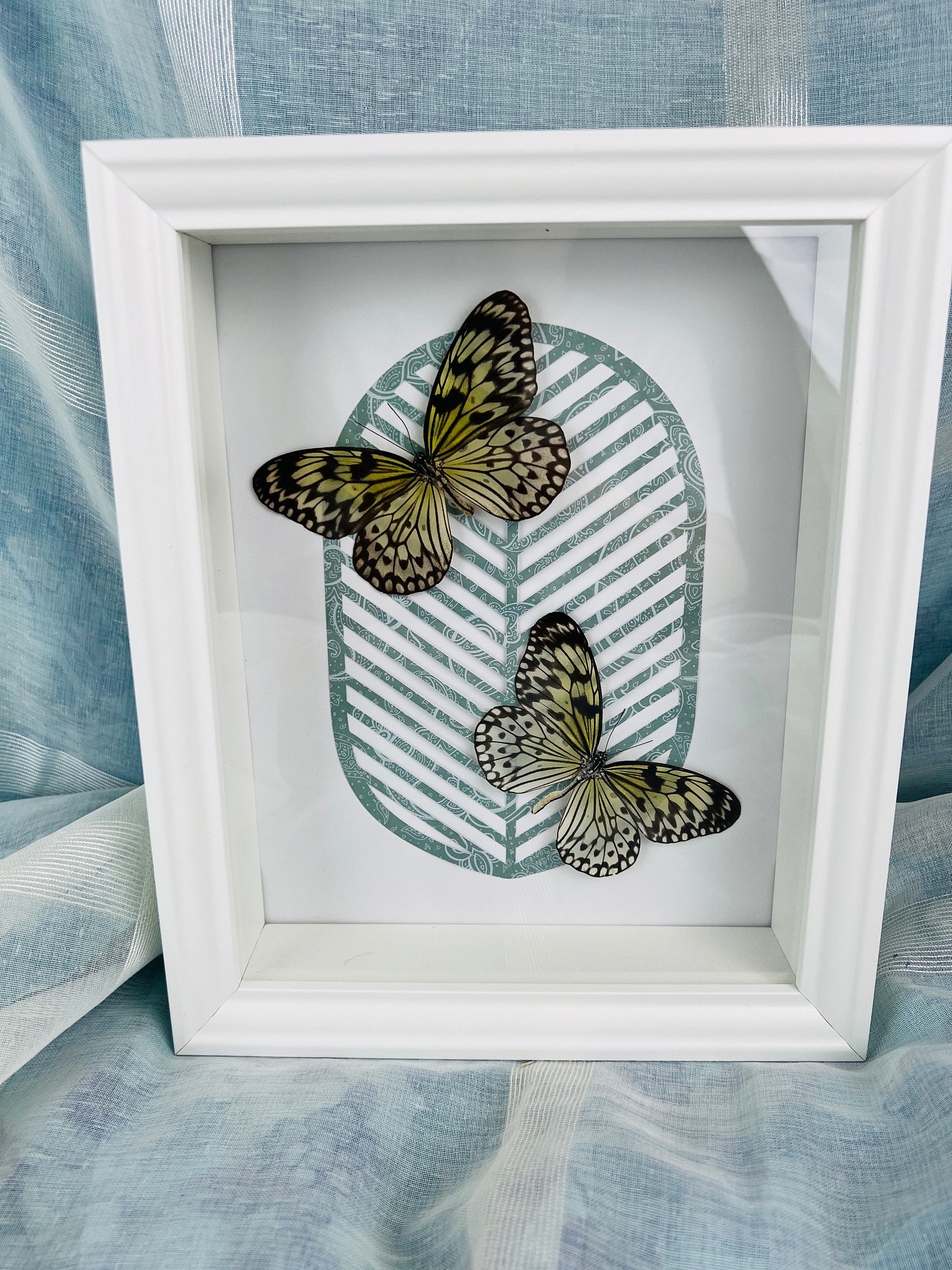 Idea Leuconoe op print in lijst