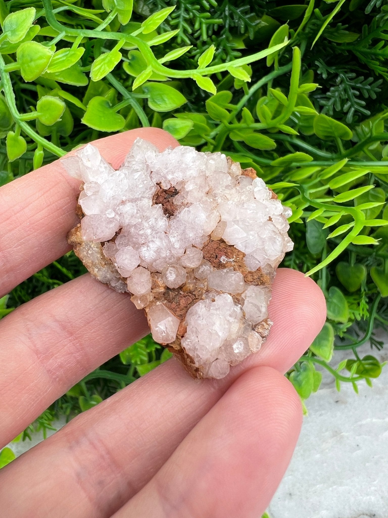 Rosa Amethyst-Cluster (4 cm) von KEY LIME STORE