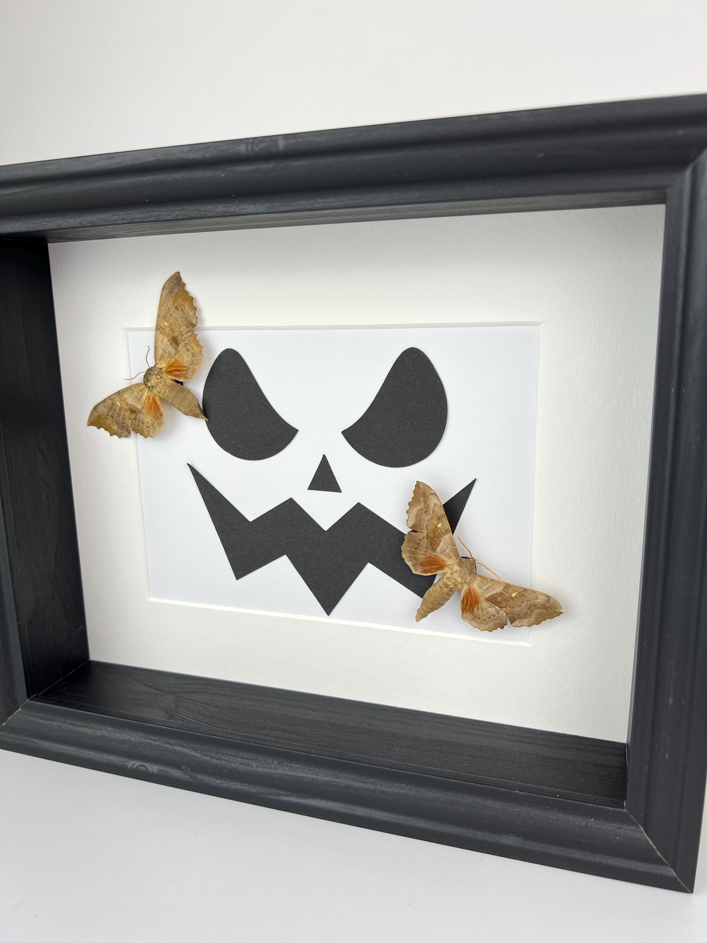 Motten op halloween print in lijst