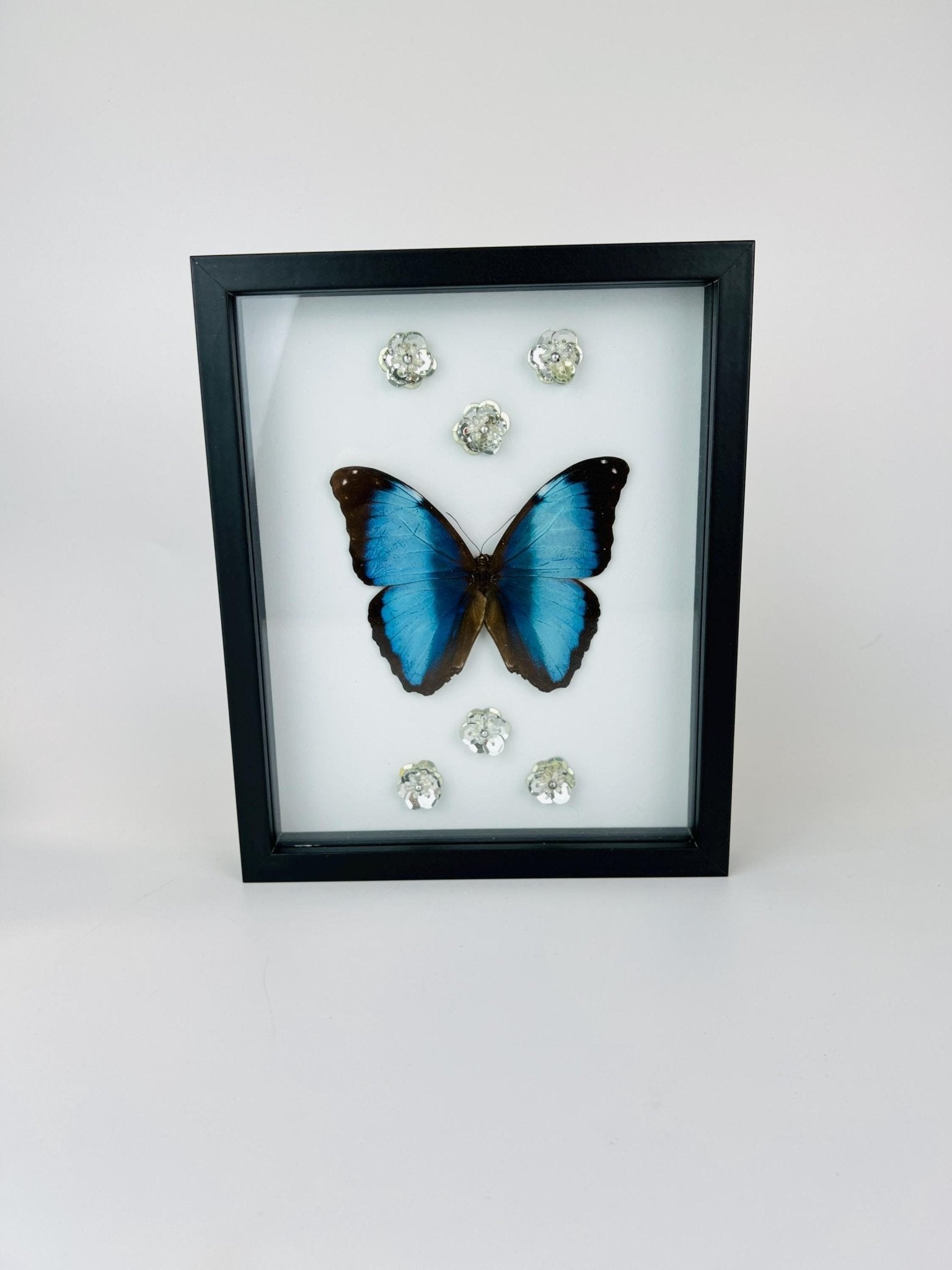 Morpho Deidamia mit Glitzerblumen im Rahmen von KEY LIME STORE