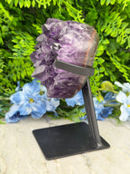 A large, purple crystal is mounted on a black stand, surrounded by a lush green plant and blue flowers.