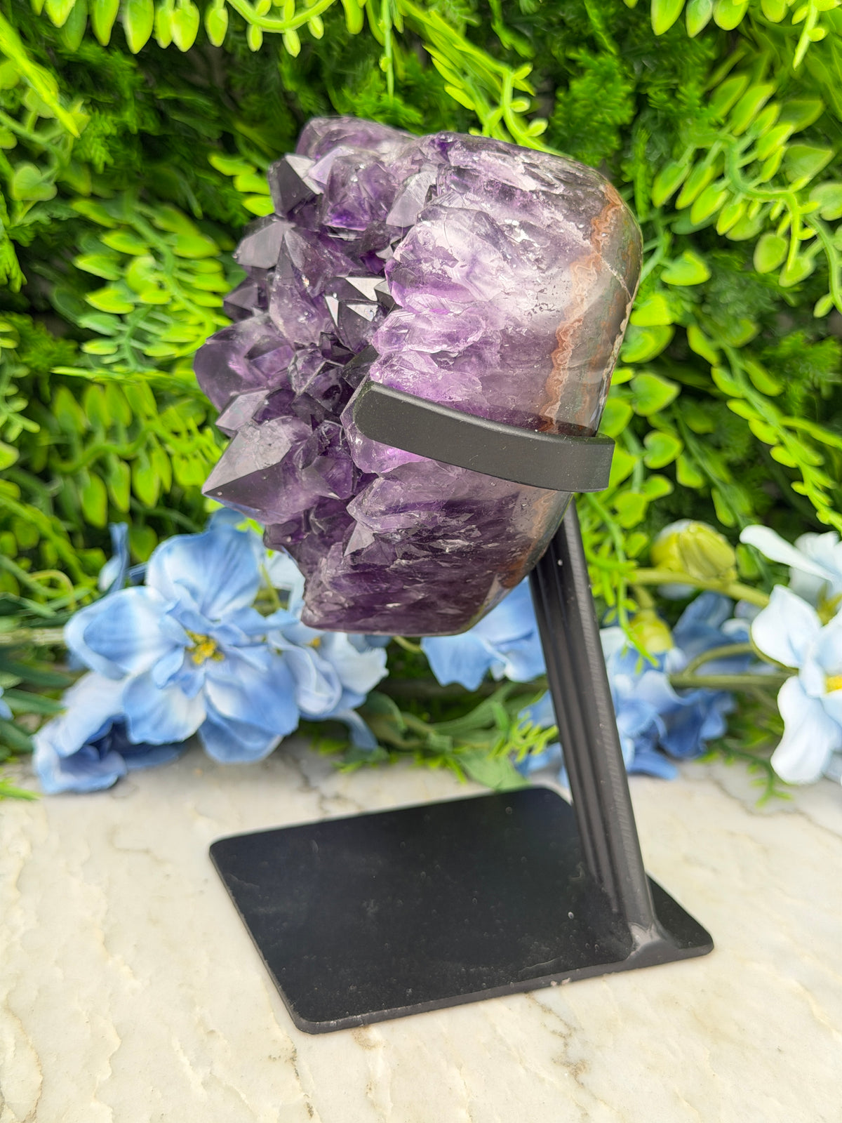 A large, purple crystal is mounted on a black stand, surrounded by a lush green plant and blue flowers.