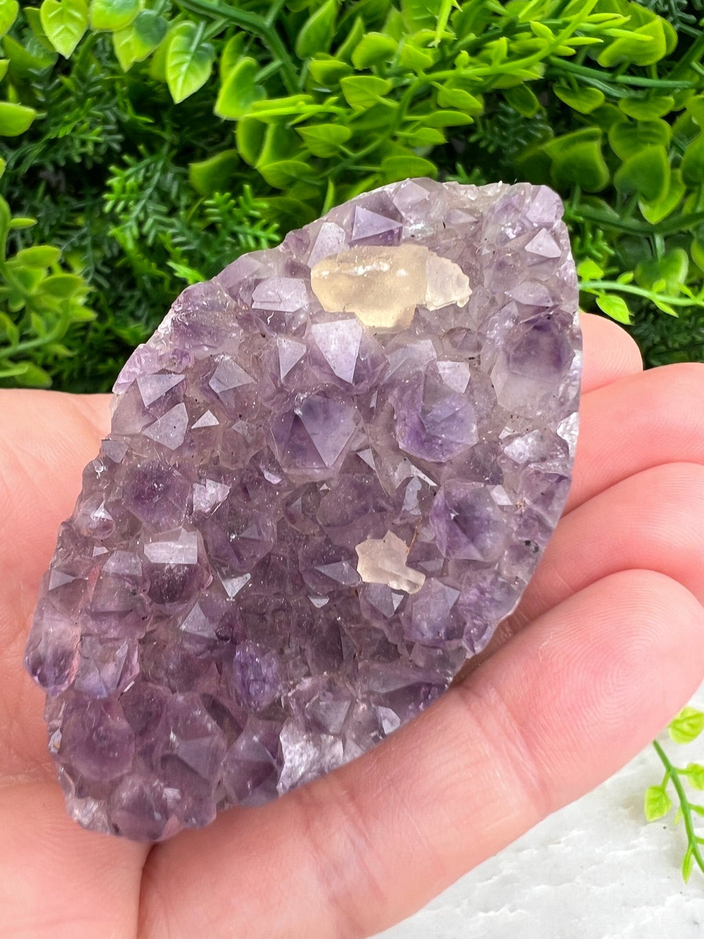 Amethyst, elliptisch (6 cm) von KEY LIME STORE