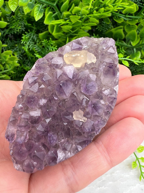 Amethyst, elliptisch (6 cm) von KEY LIME STORE