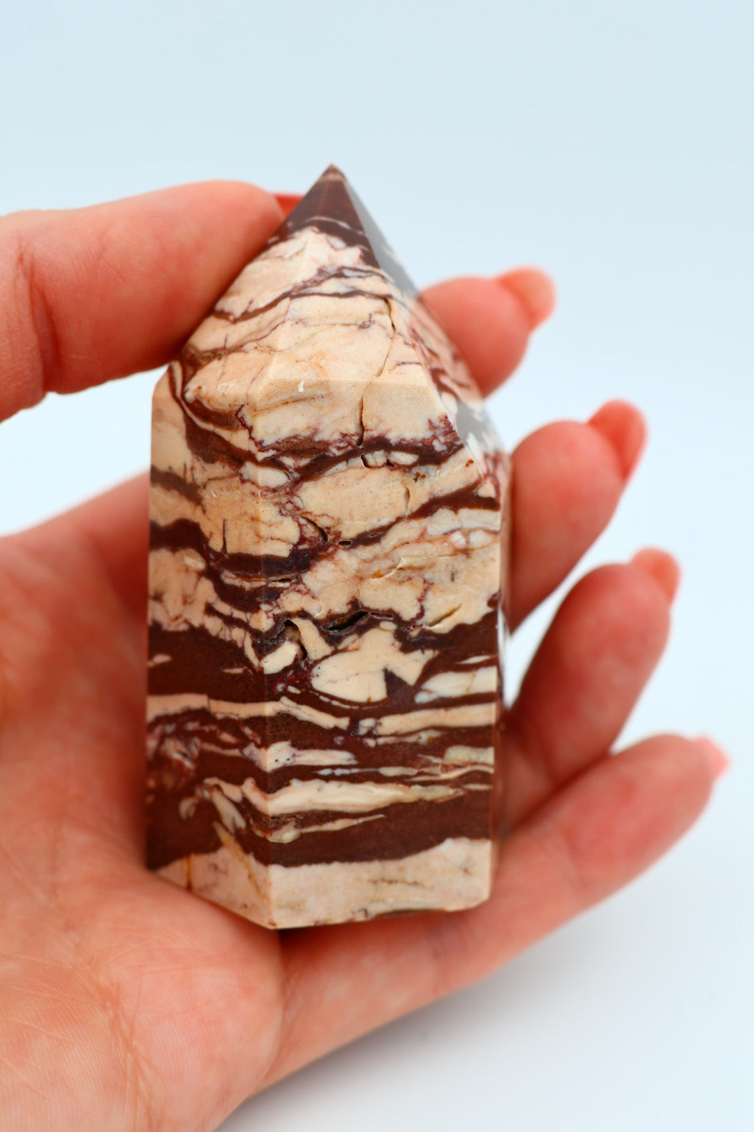 Zebra Jaspis 0.165 kg