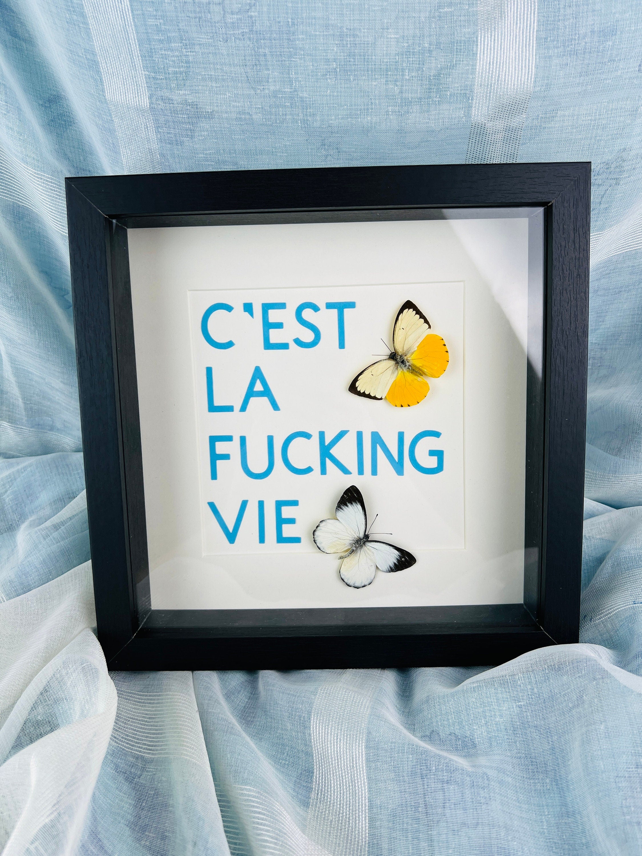 Vlinders met tekst in lijst