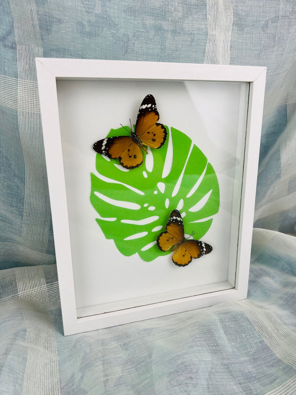 „Danaus Chrysippus“ auf Monstera-Druck, gerahmt von KEY LIME STORE