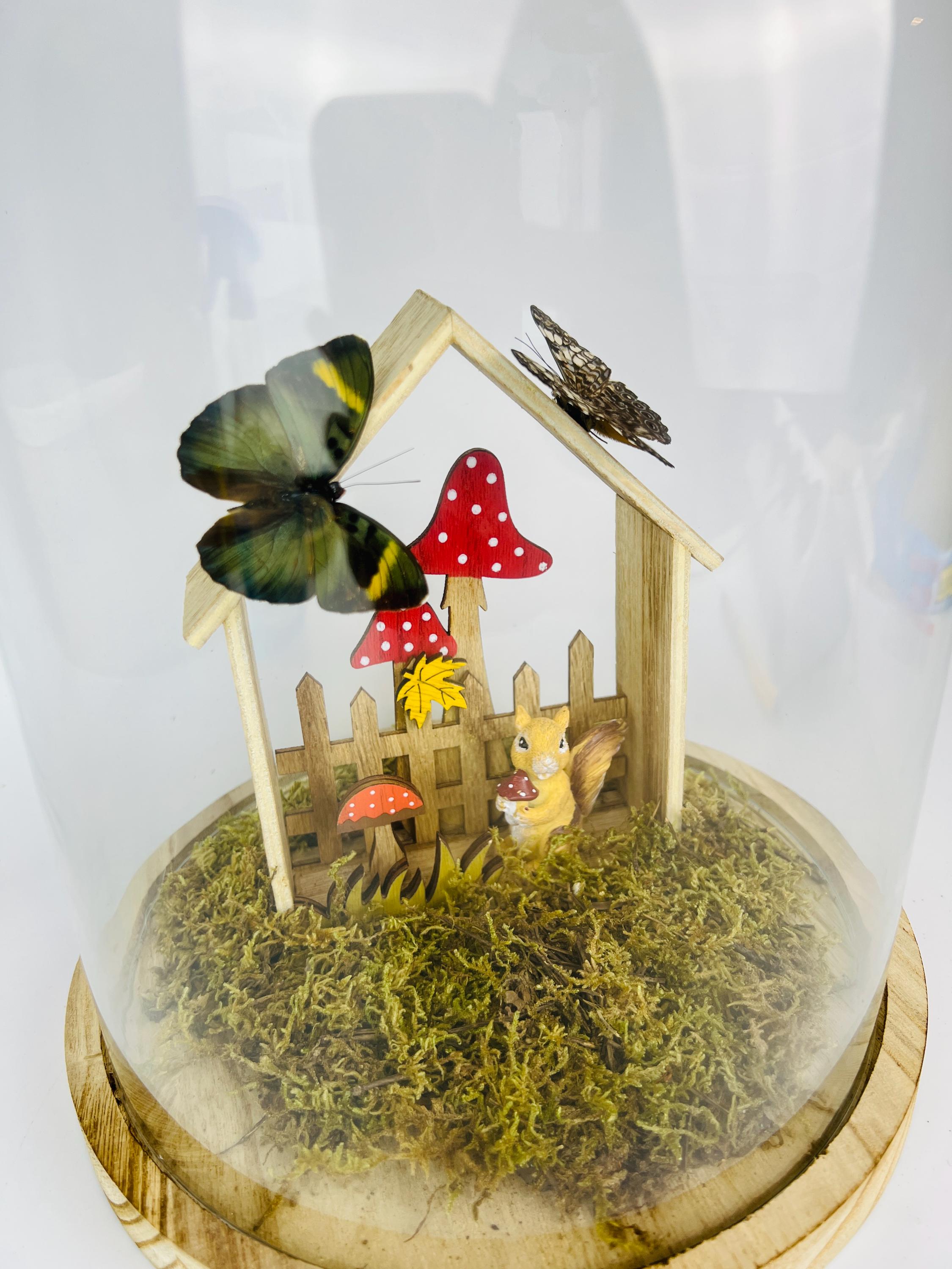 Twee vlinders op een tafereeltje in stolp