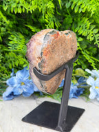 A close-up view of a rock with a black metal tool attached to it, surrounded by lush green foliage and blue flowers.