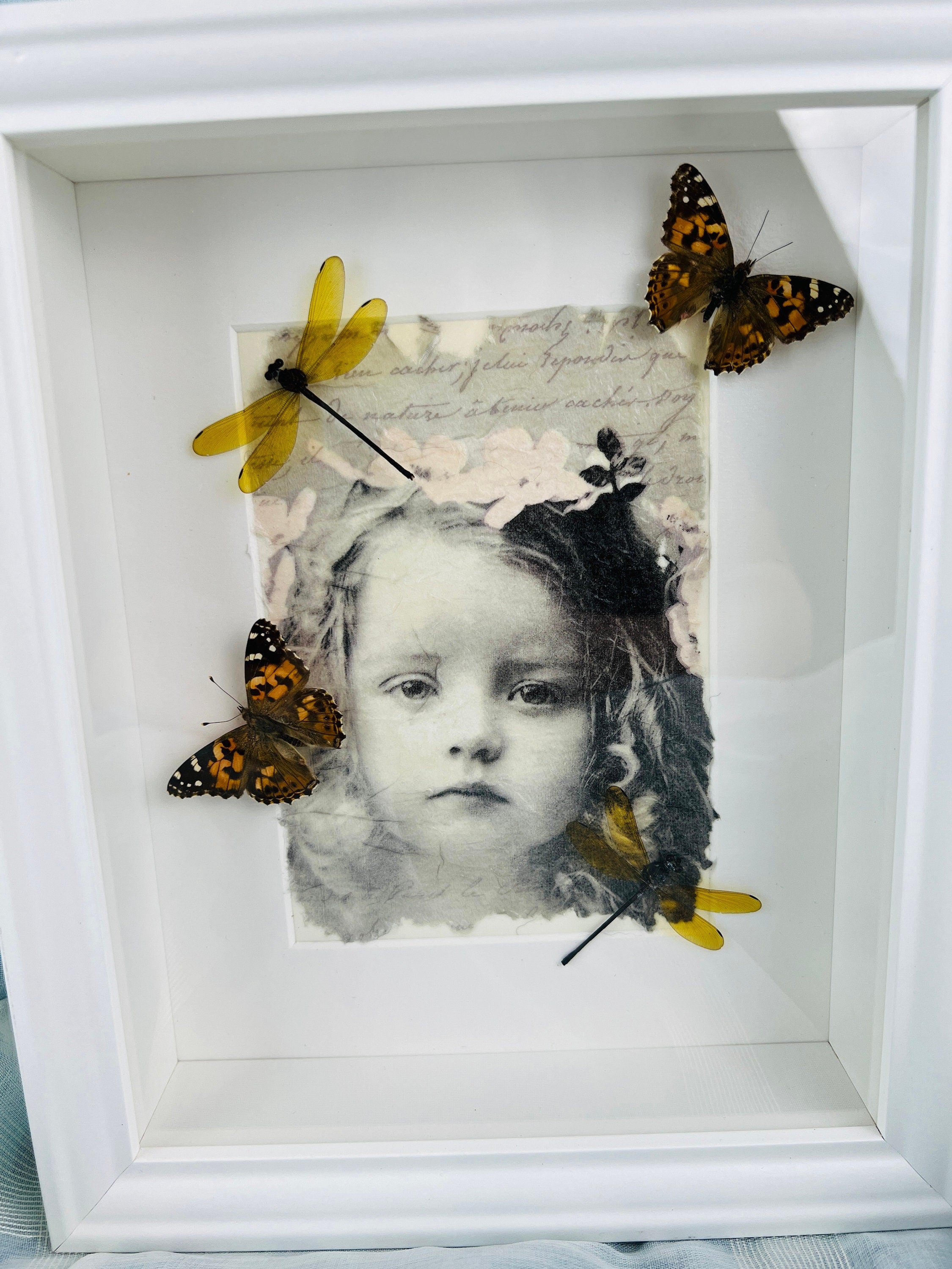 Vanessa Cardui en libelle op print in lijst