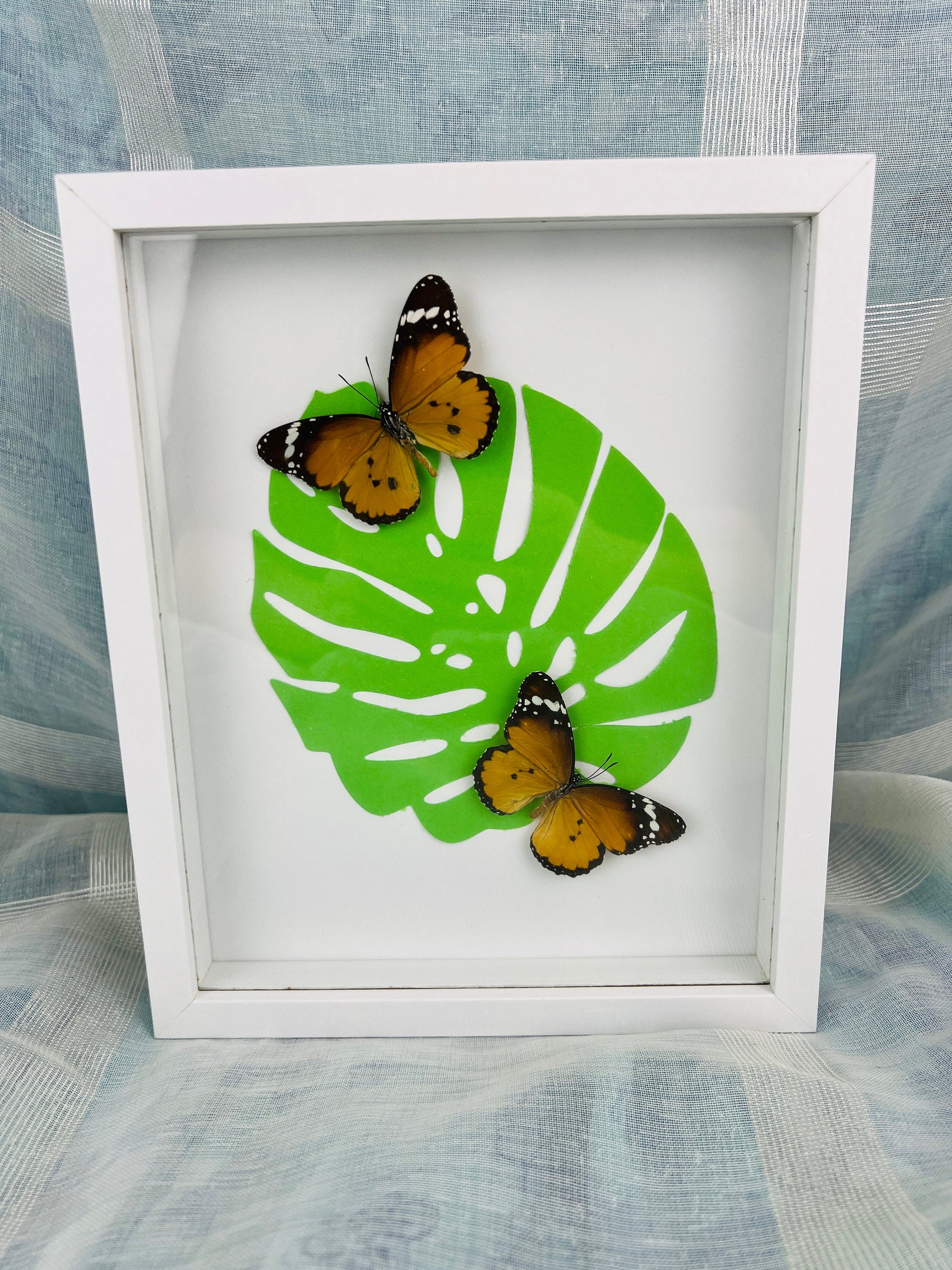 Danaus Chrysippus op monstera print in lijst