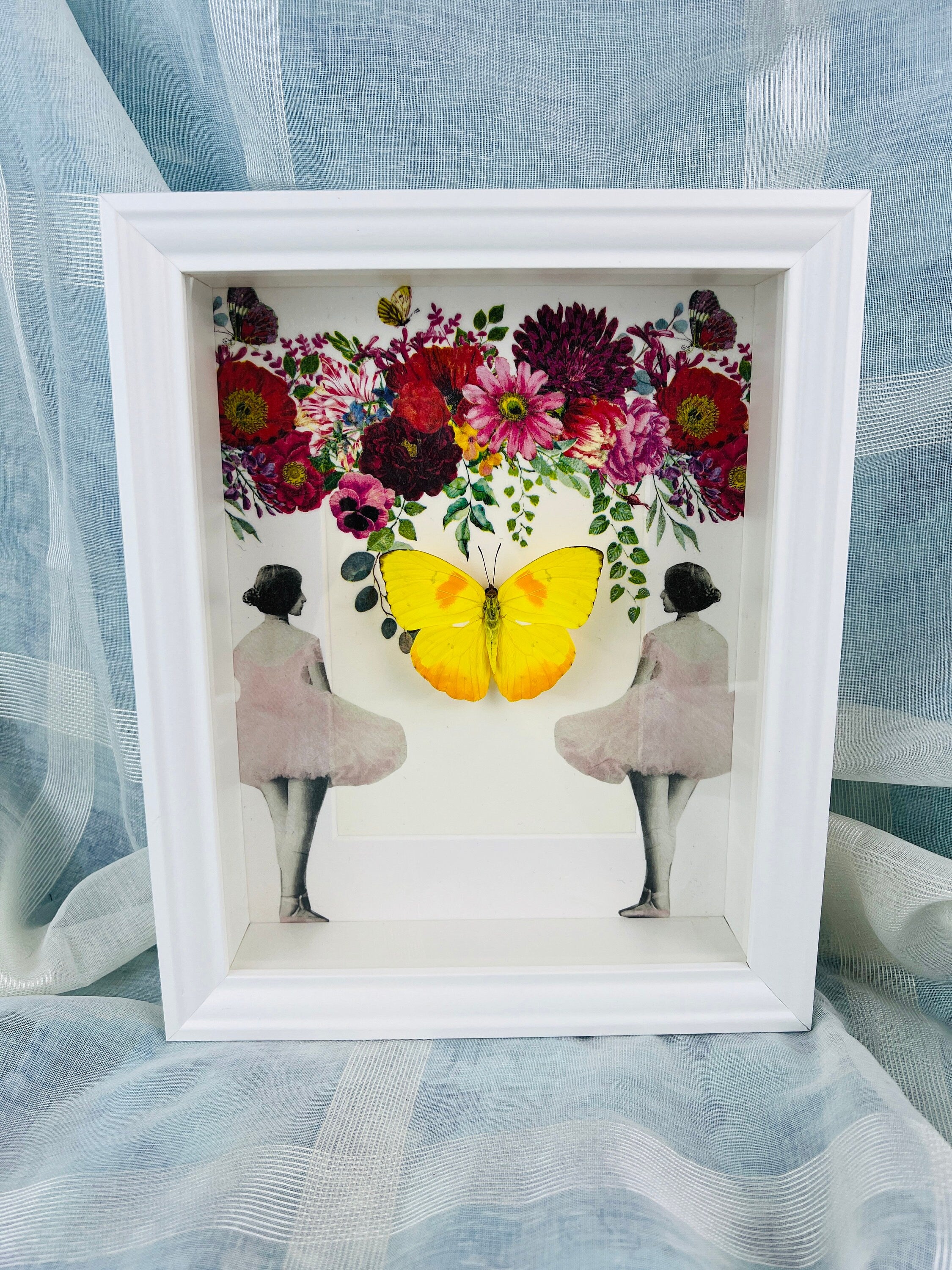 Butterfly Specimen Display - Phoebis Philea Framed with Elegant Decoration